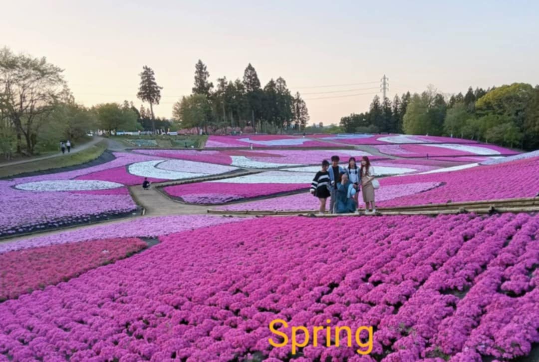 Tour image 3cb0ebf2-497b-4dc8-9086-1084f011ab29