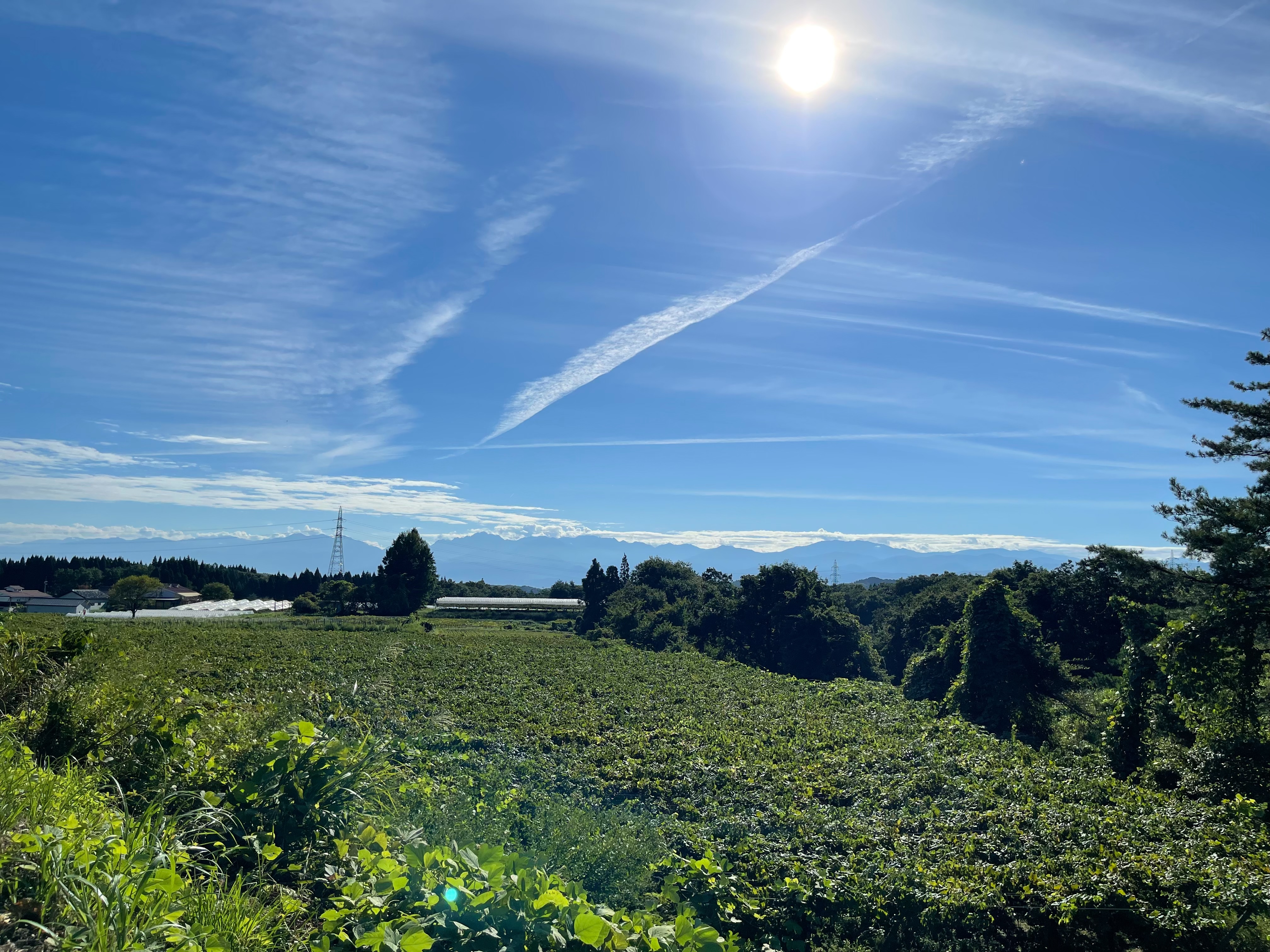 Tour image 73c19f5c-1683-4019-8e23-079191f44bee