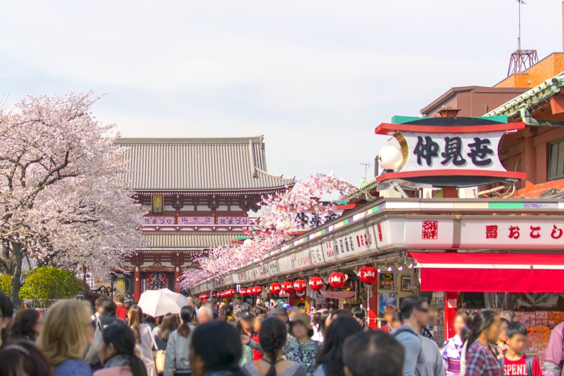Tour image ffba964f-785d-467c-ba9a-3e54576ed757