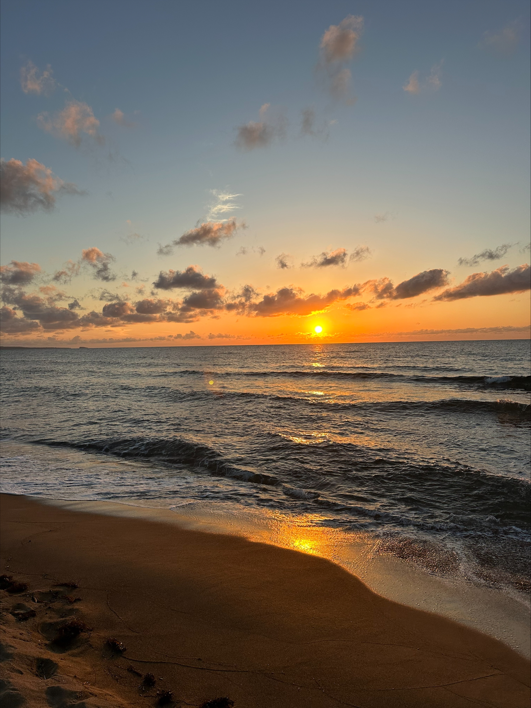 Tour image b69cf4d5-9c02-4698-ade5-0e602b76e76c