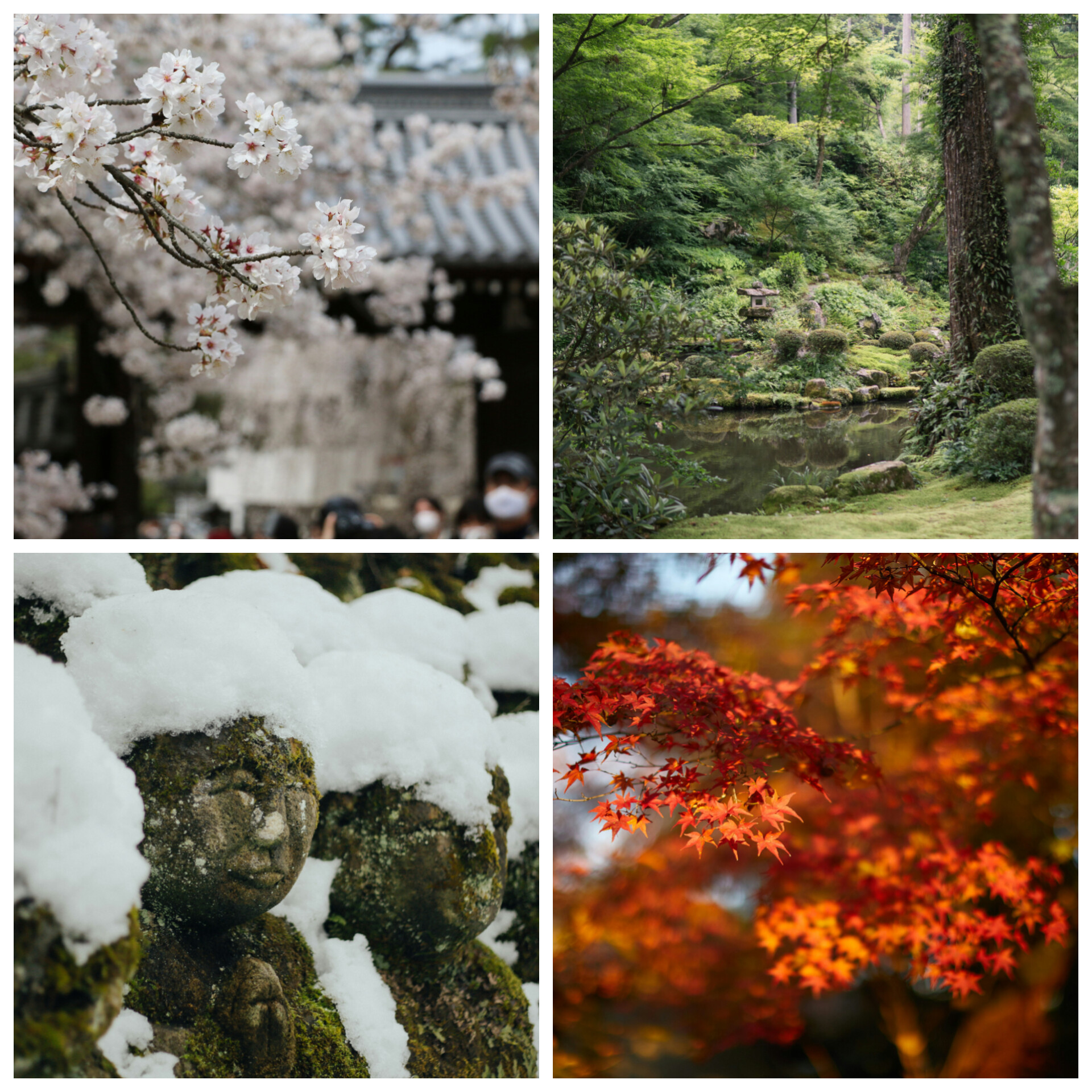 Tour image a31ab6ae-4121-440c-8f97-9c5bb9fca6e5