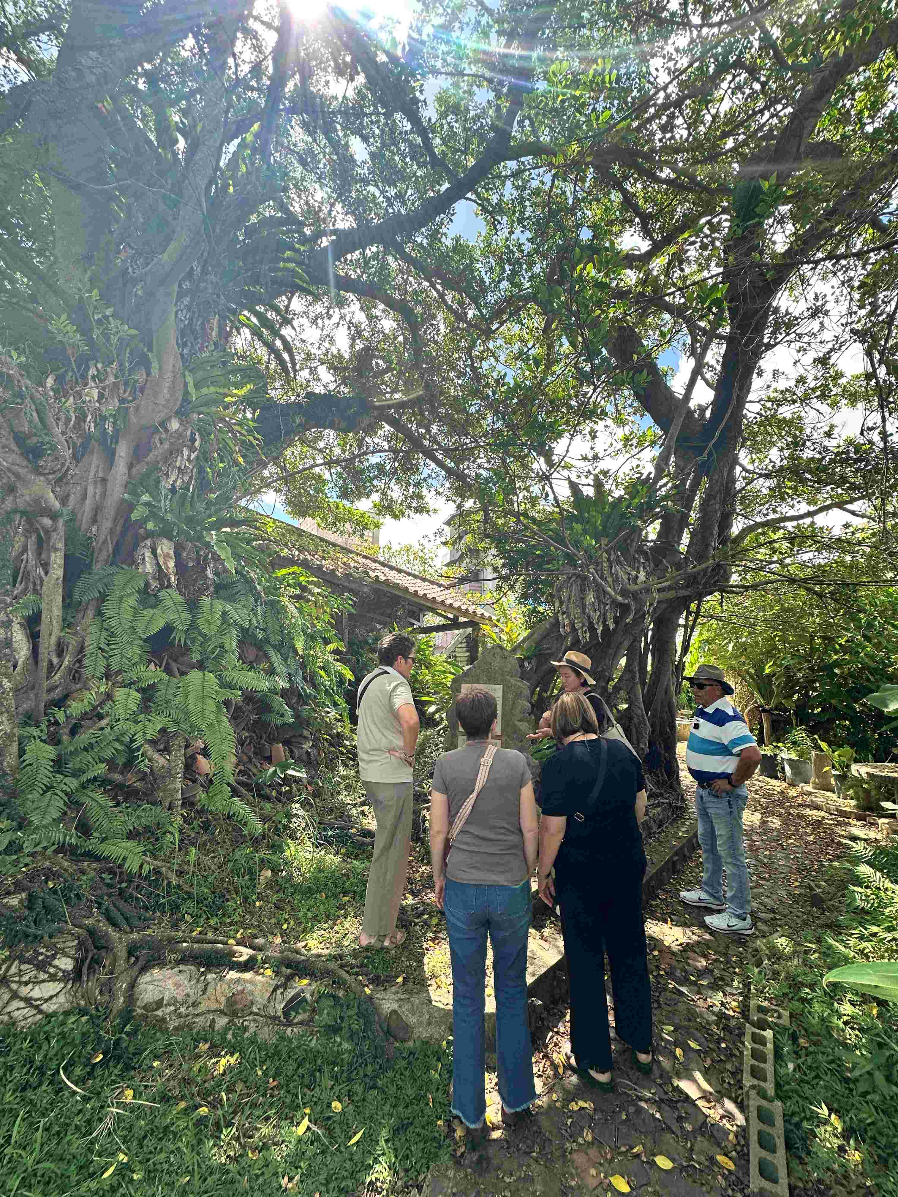 Tour image 4b4cb2d9-903c-4778-a729-d8f3d167a220