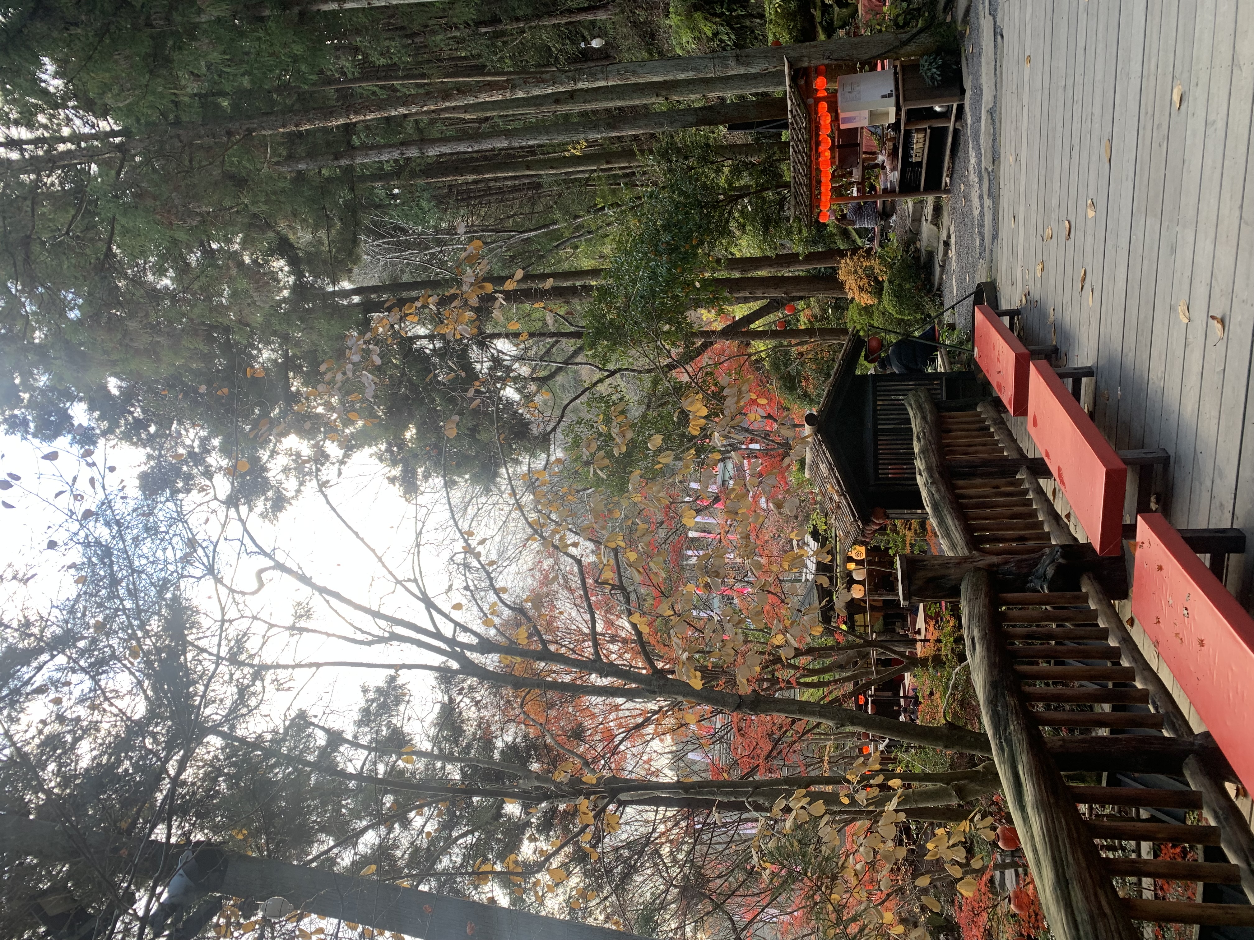 Tour image e70dc429-0802-4aa4-a096-82abdedcb325