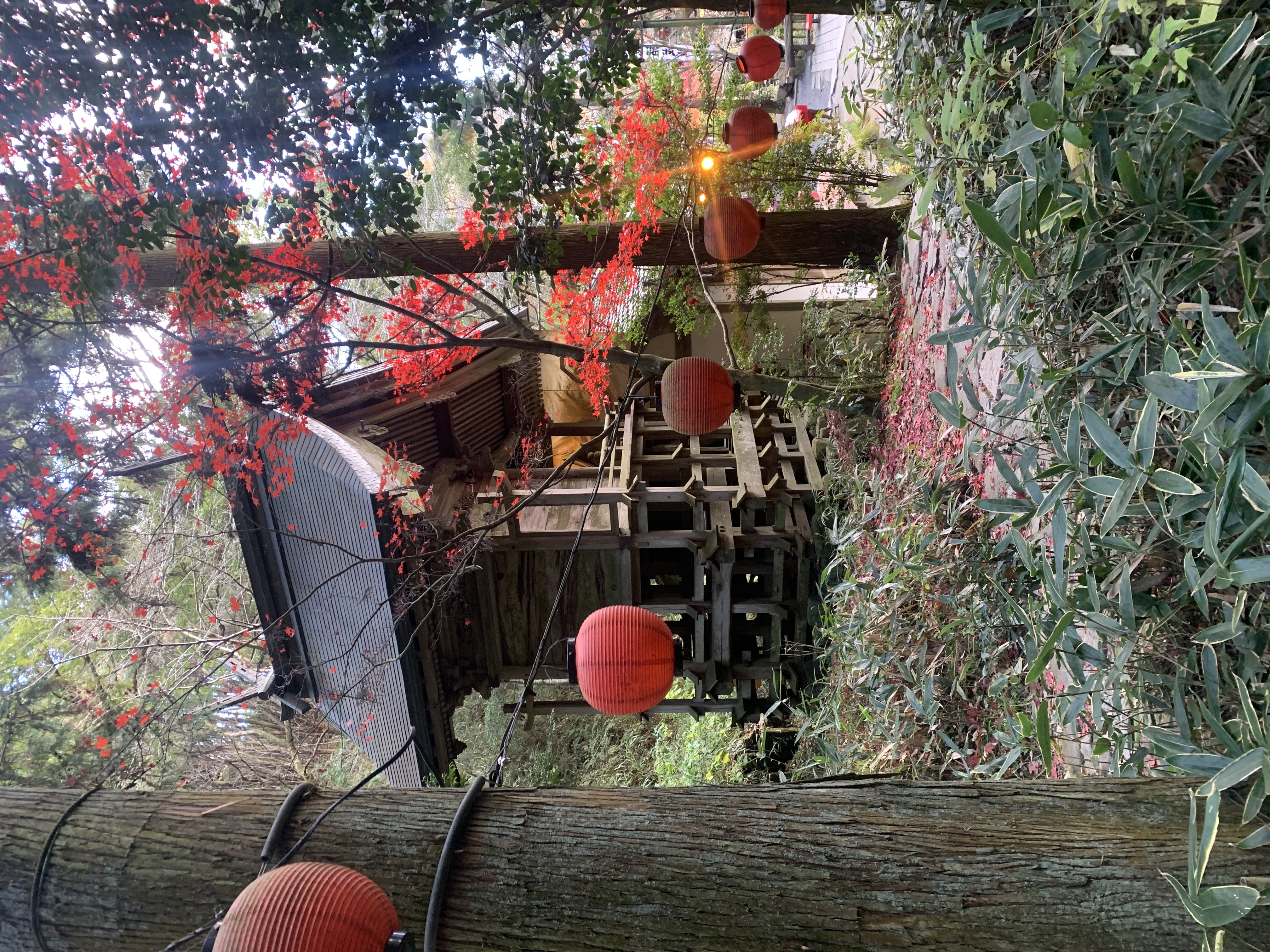 Tour image ca0ed361-5ba0-4da7-b1ce-1ca5c50c0aed