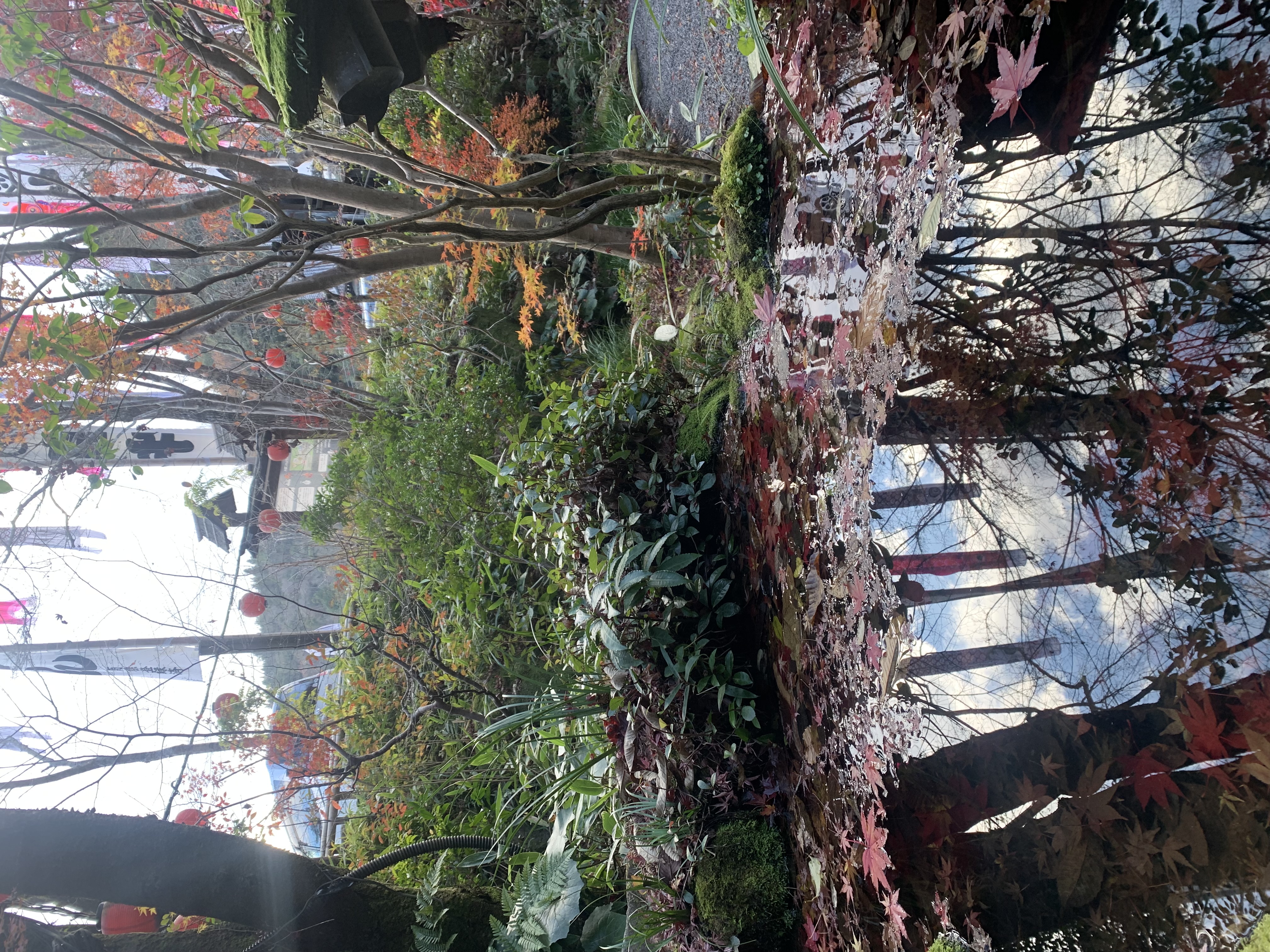 Tour image 697310d0-ab5a-4761-891b-f79620544426