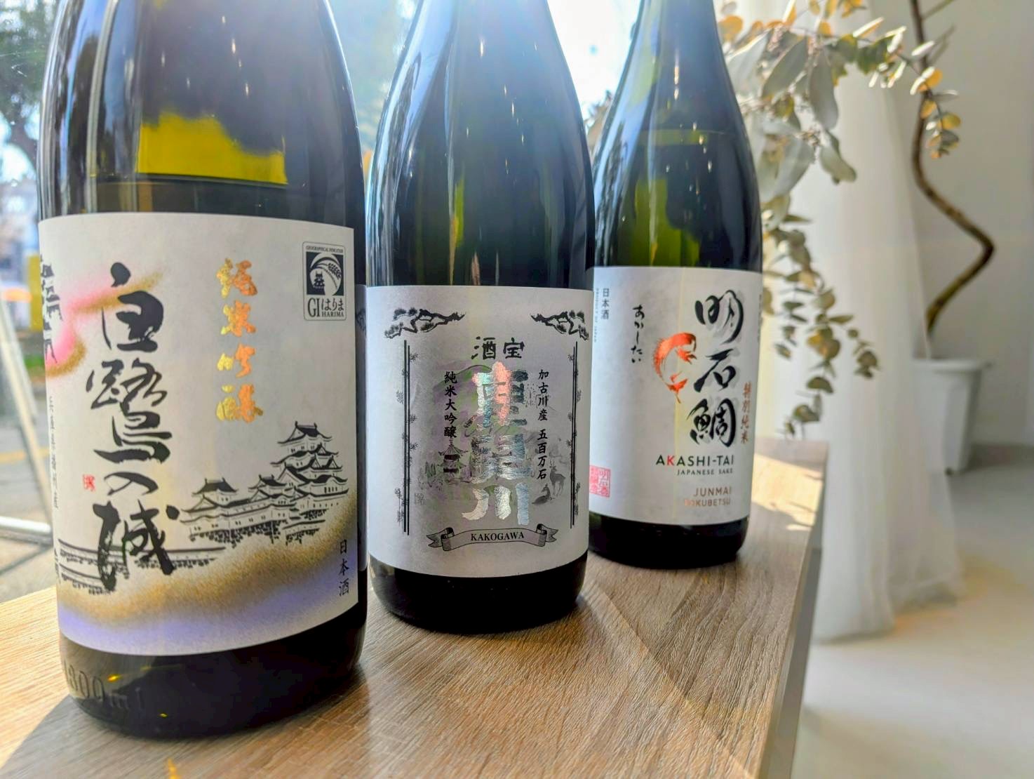 Tour image cd5241ac-67e4-4436-a382-7f27d54df7ea