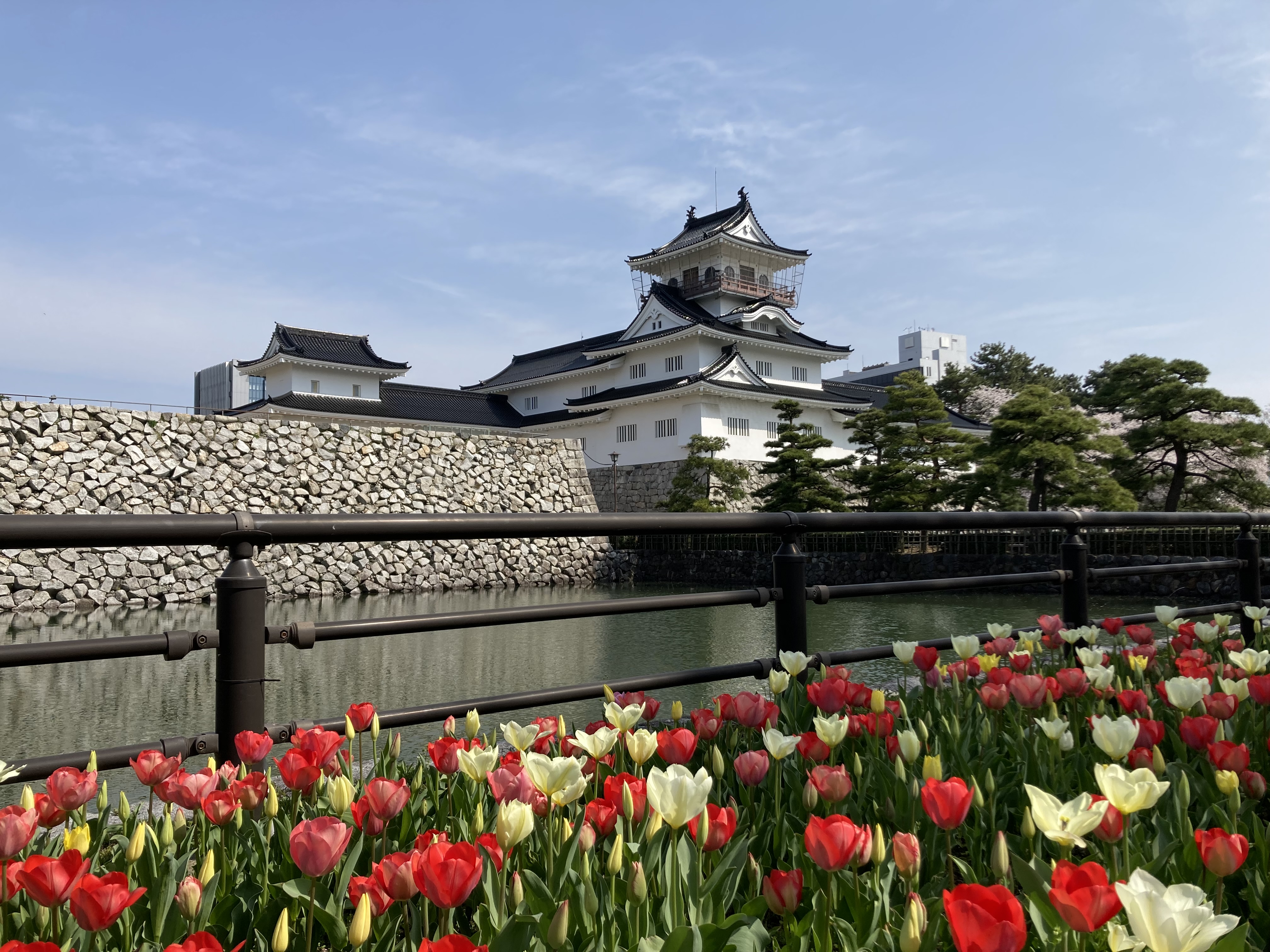 Tour image da254a24-1f90-43cb-b3dc-7de35c12f7de