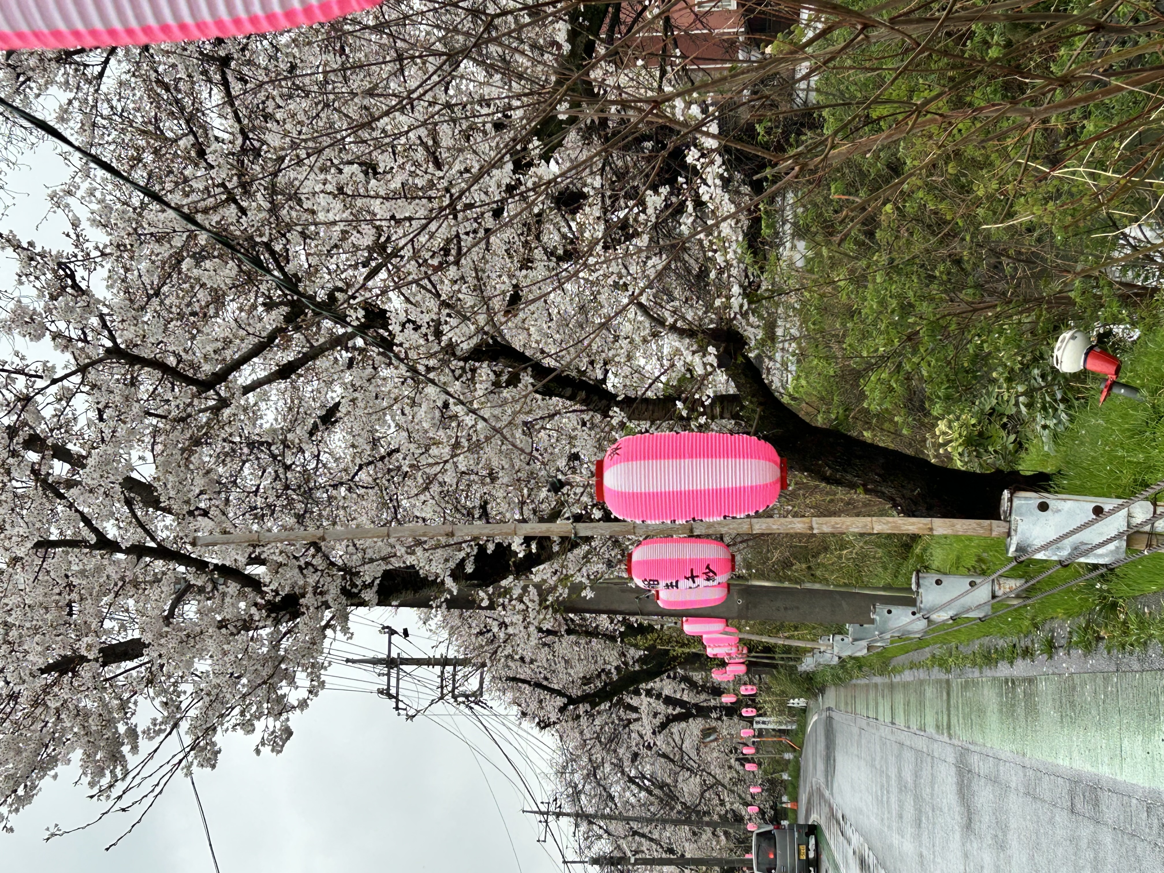 Tour image 13f269fa-02df-4577-b254-7fa63d099ec3